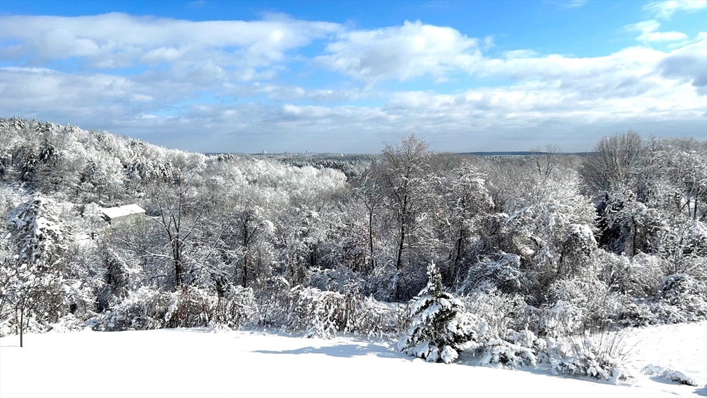 63 Skyfields Drive Groton, MA 01450 - Photo 32 of 40 a view of a yard