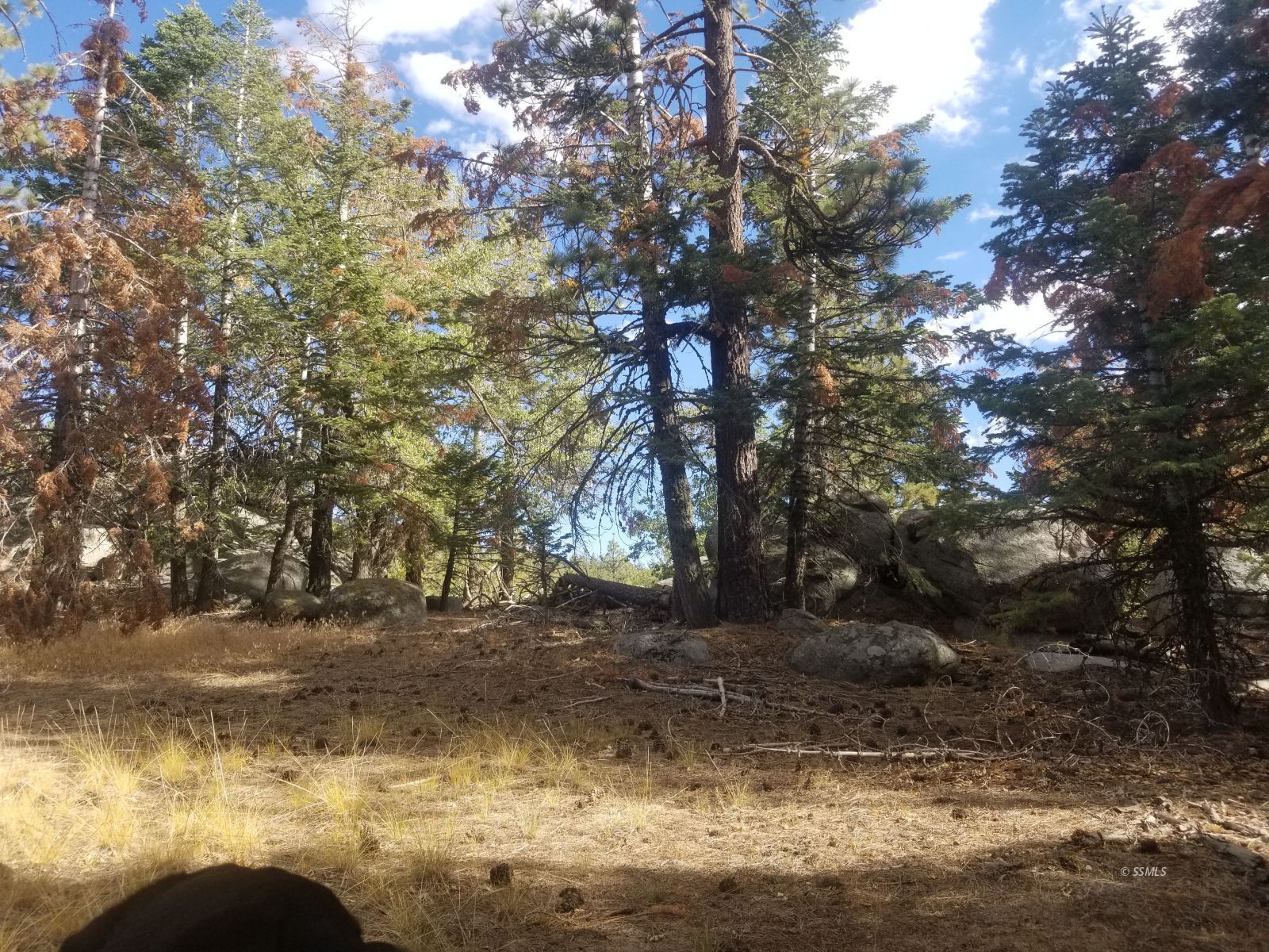 Piute Pines Caliente, CA 93518 - Photo 10 of 26