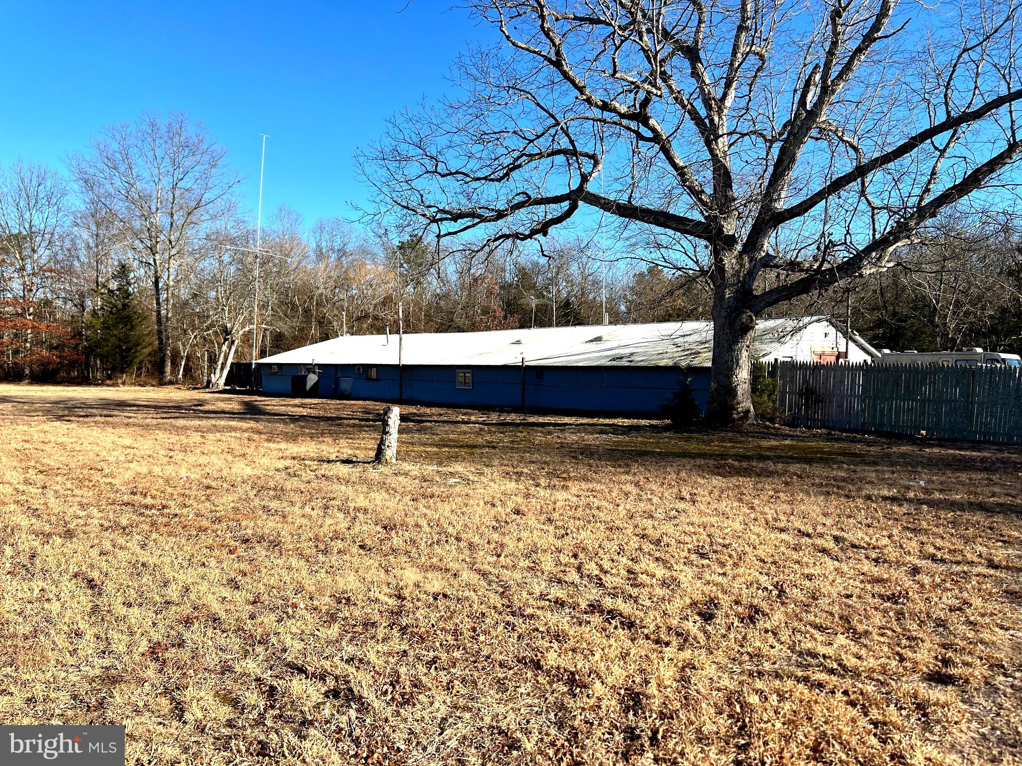 a view of a yard with large trees