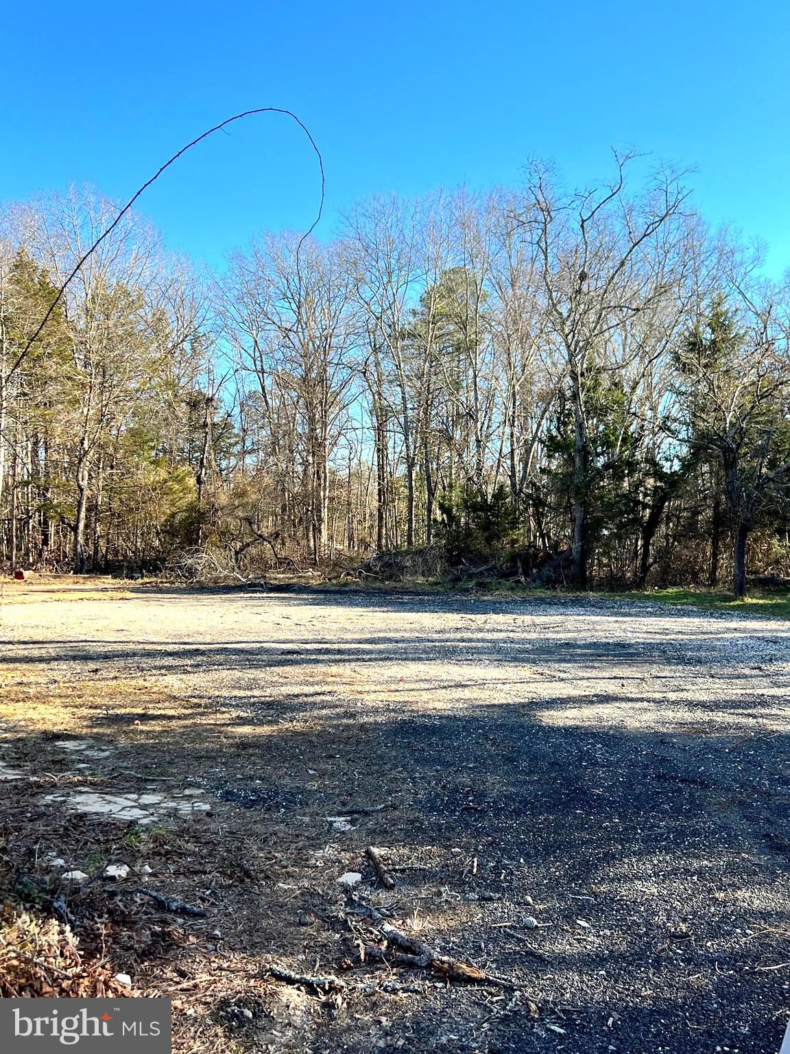 156 Broad Street Milmay, NJ 08340 - Photo 3 of 5 a view of large yard with large trees
