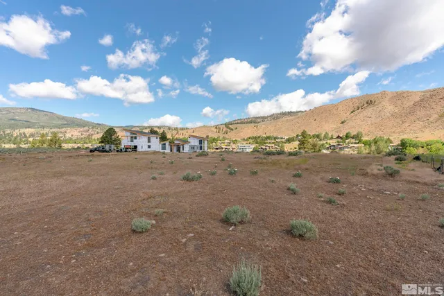 a view of a field with lots of trees