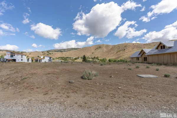 a view of a dry yard