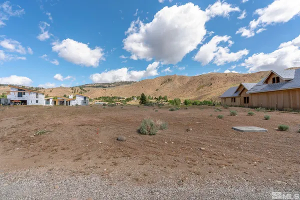 a view of a dry yard