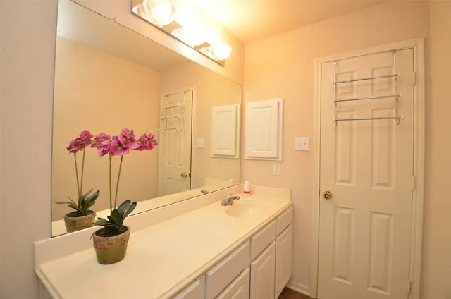a bathroom with a sink a mirror and a shower