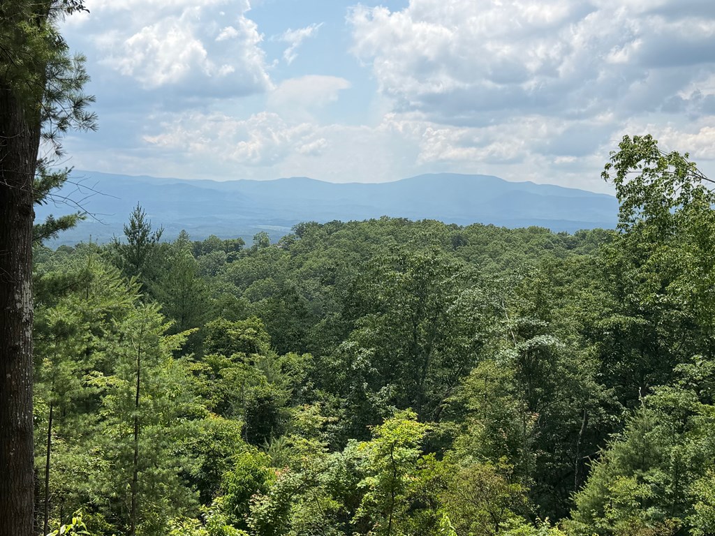 340 Lazy Country Cv Road Murphy, NC 28906 - Photo 5 of 5