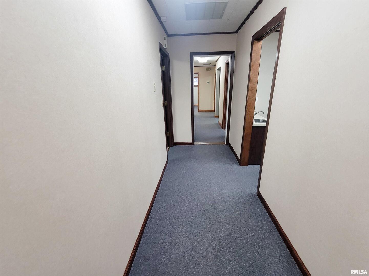 119 West 2nd Street Flora, IL 62839 - Photo 48 of 99