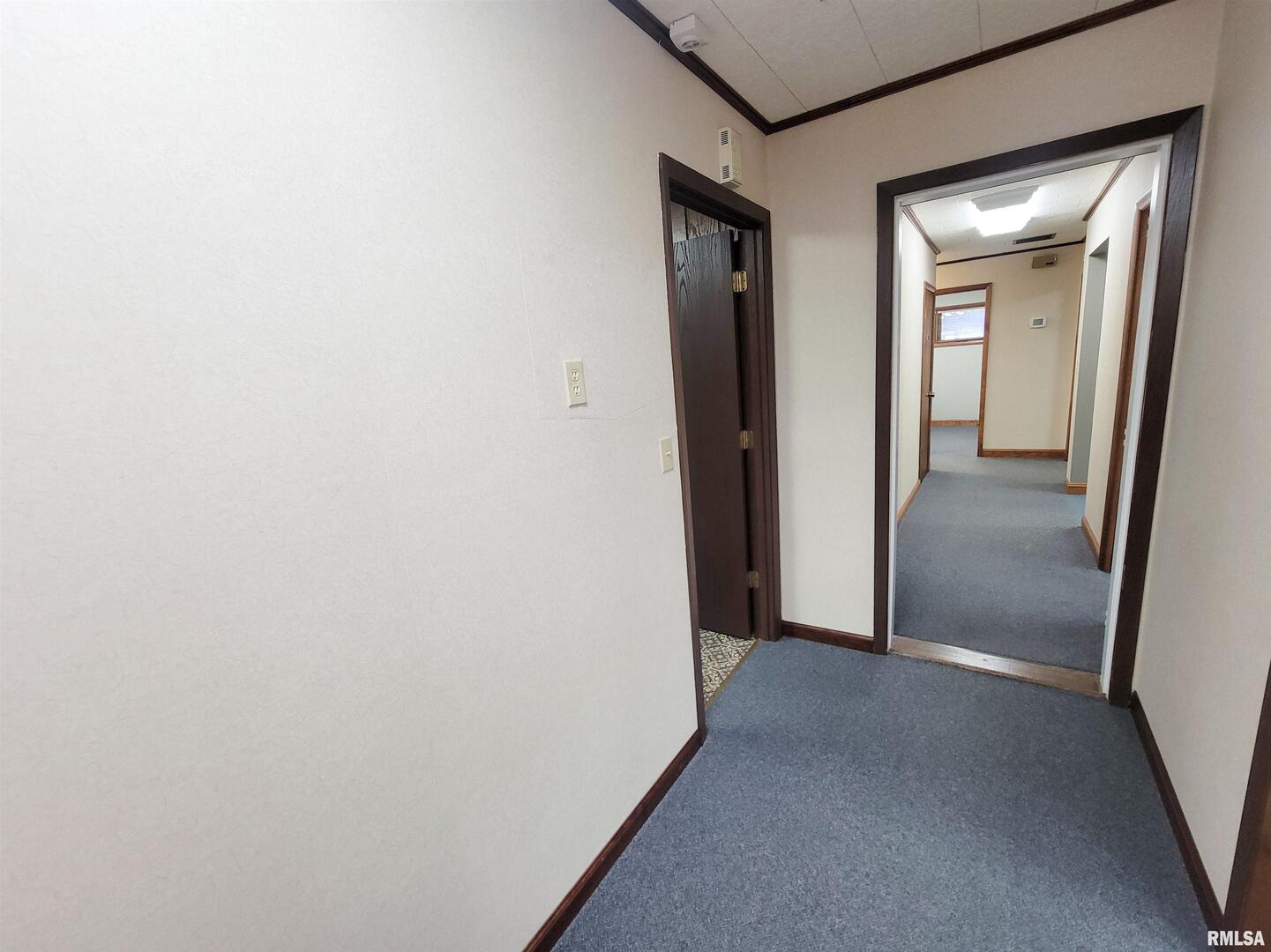 119 West 2nd Street Flora, IL 62839 - Photo 52 of 99 a view of hallway with closet