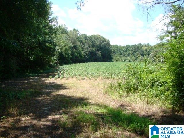 0 Duggar Mountain Road, Unit 27 Piedmont, AL 36272 - Photo 1 of 3