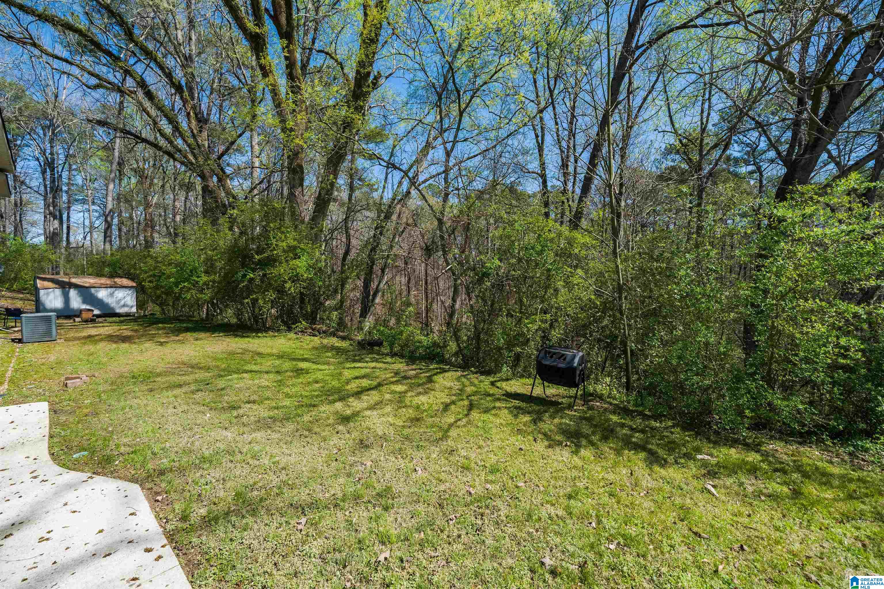 3645 Mt Olive Road Mount Olive, AL 35117 - Photo 26 of 42