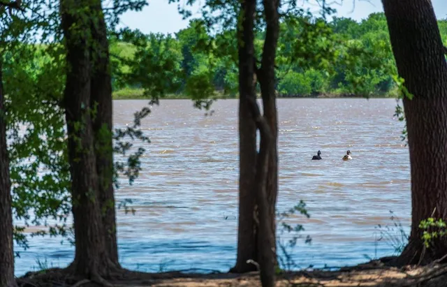 a view of outdoor space