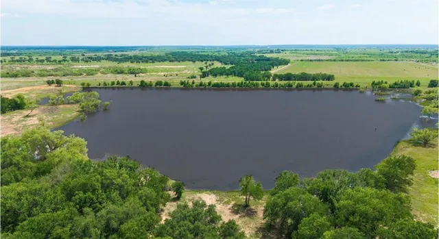 an aerial view of ocean and trees