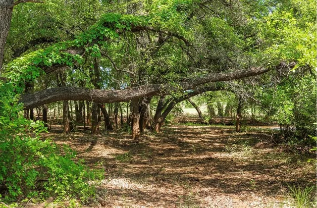 a view of outdoor space with deck and trees