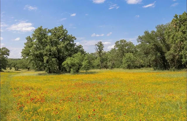 a view of an ocean from a yard