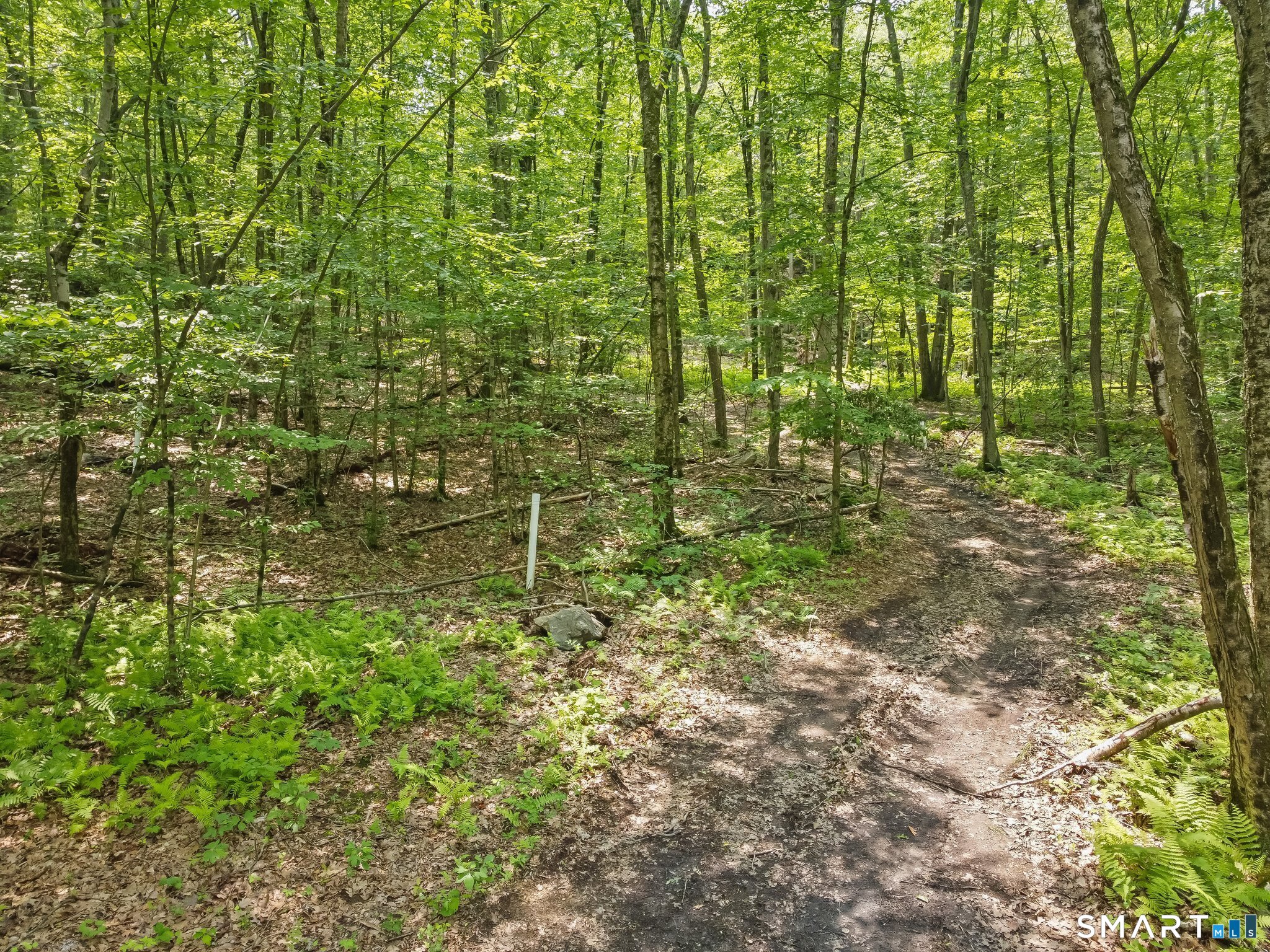 Parcel B Moose Hill Road Oxford, CT 06478 - Photo 5 of 13