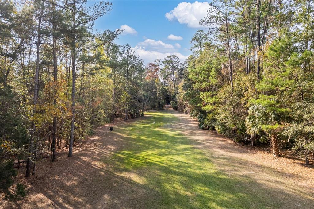 22675 Northwest 75th Avenue Road Micanopy, FL 32667 - Photo 55 of 72