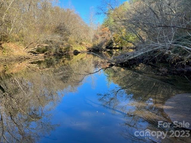 Tbd Shady Lane Mill Spring, NC 28756 - Photo 2 of 7 a view of outside space