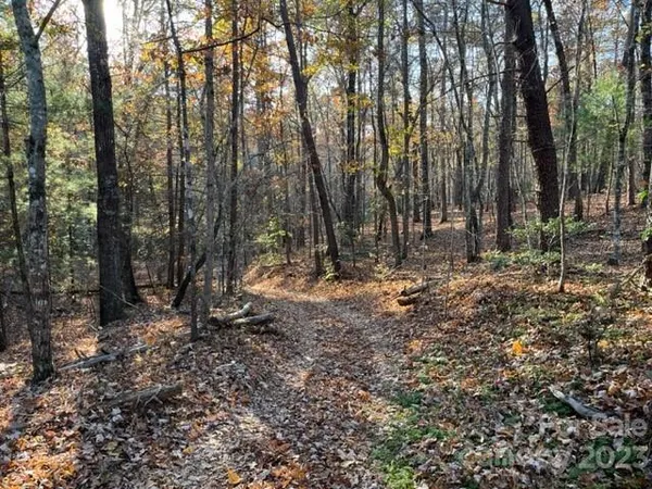 a view of outdoor space with lots of trees