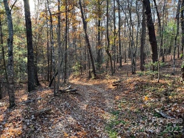 Tbd Shady Lane Mill Spring, NC 28756 - Photo 6 of 7 a view of outdoor space with lots of trees