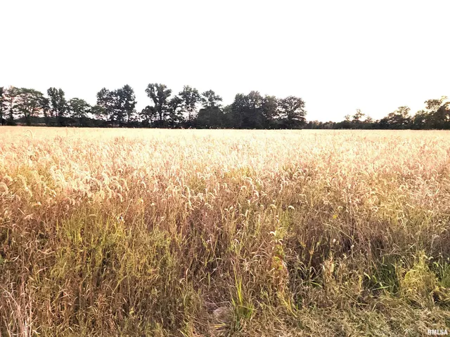 $47,000 | 1682 W Coon Creek Lane, Flora, IL 62839