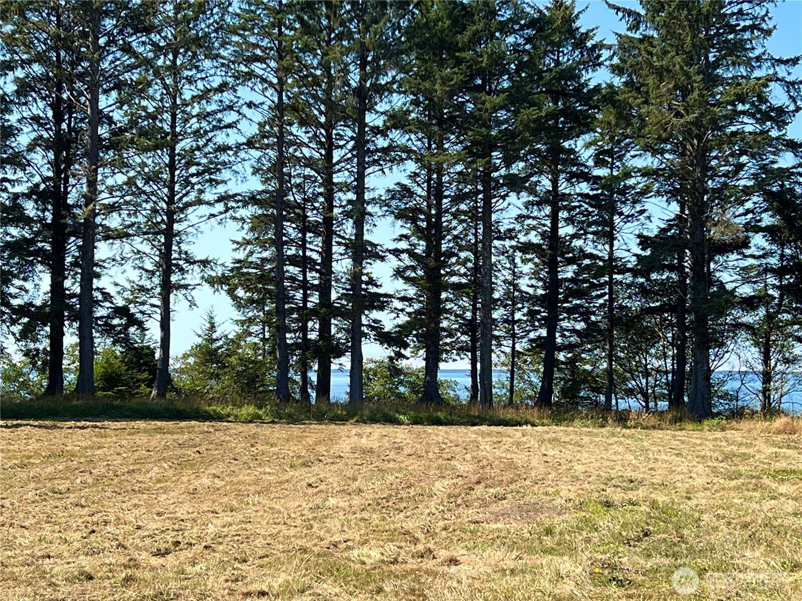 63 Ranta Road Bay Center, WA 98586 - Photo 11 of 26