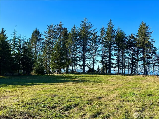 $219,000 | 63 Ranta Road, Bay Center, WA 98586