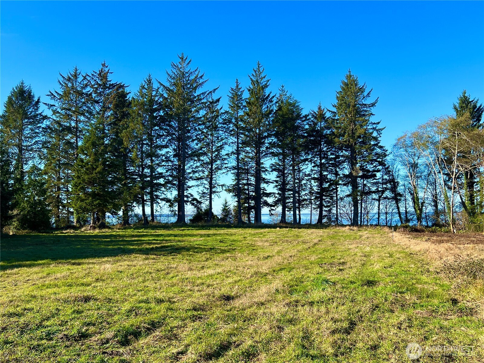 63 Ranta Road Bay Center, WA 98586 - Photo 15 of 26