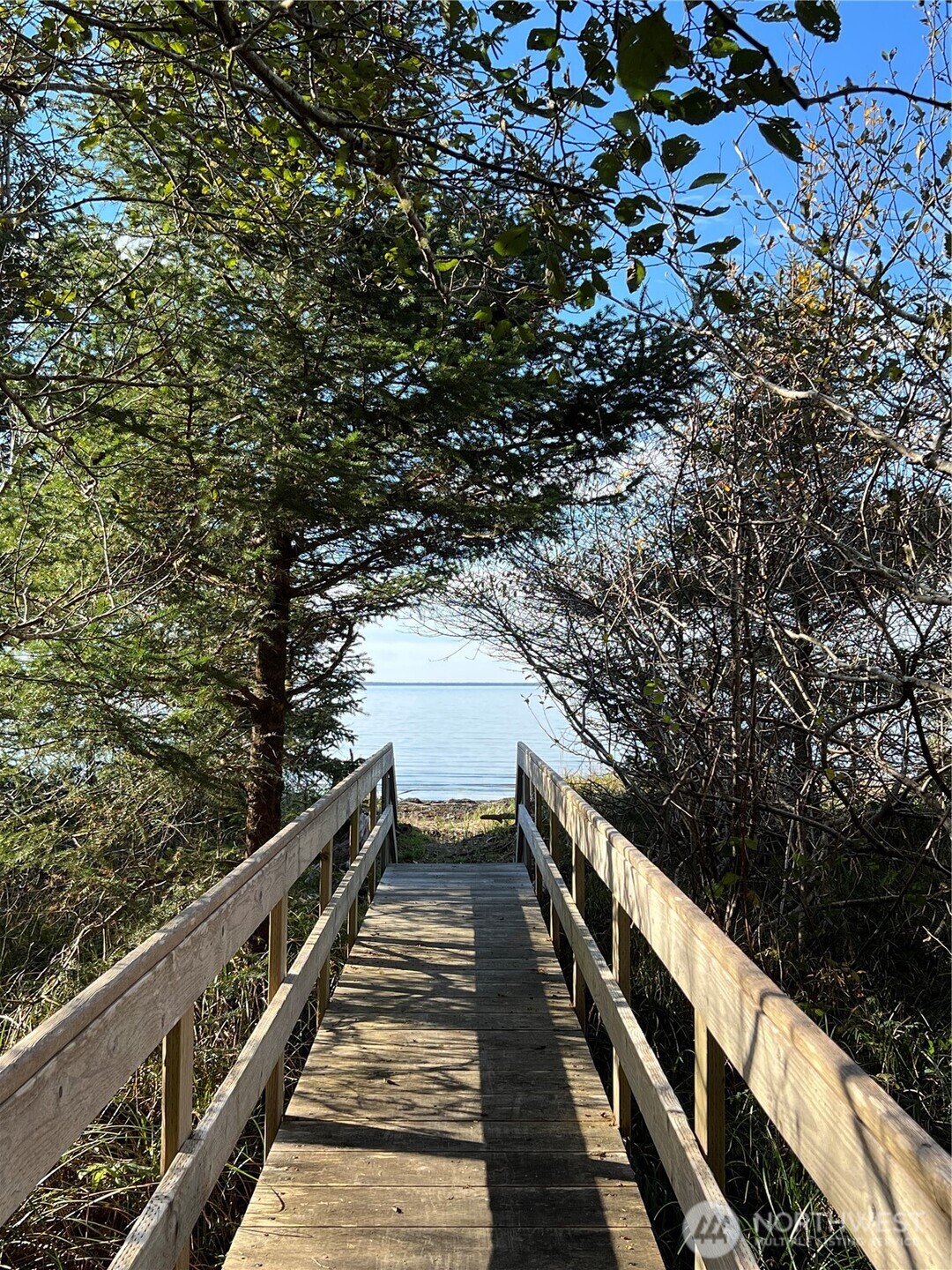 63 Ranta Road Bay Center, WA 98586 - Photo 20 of 26