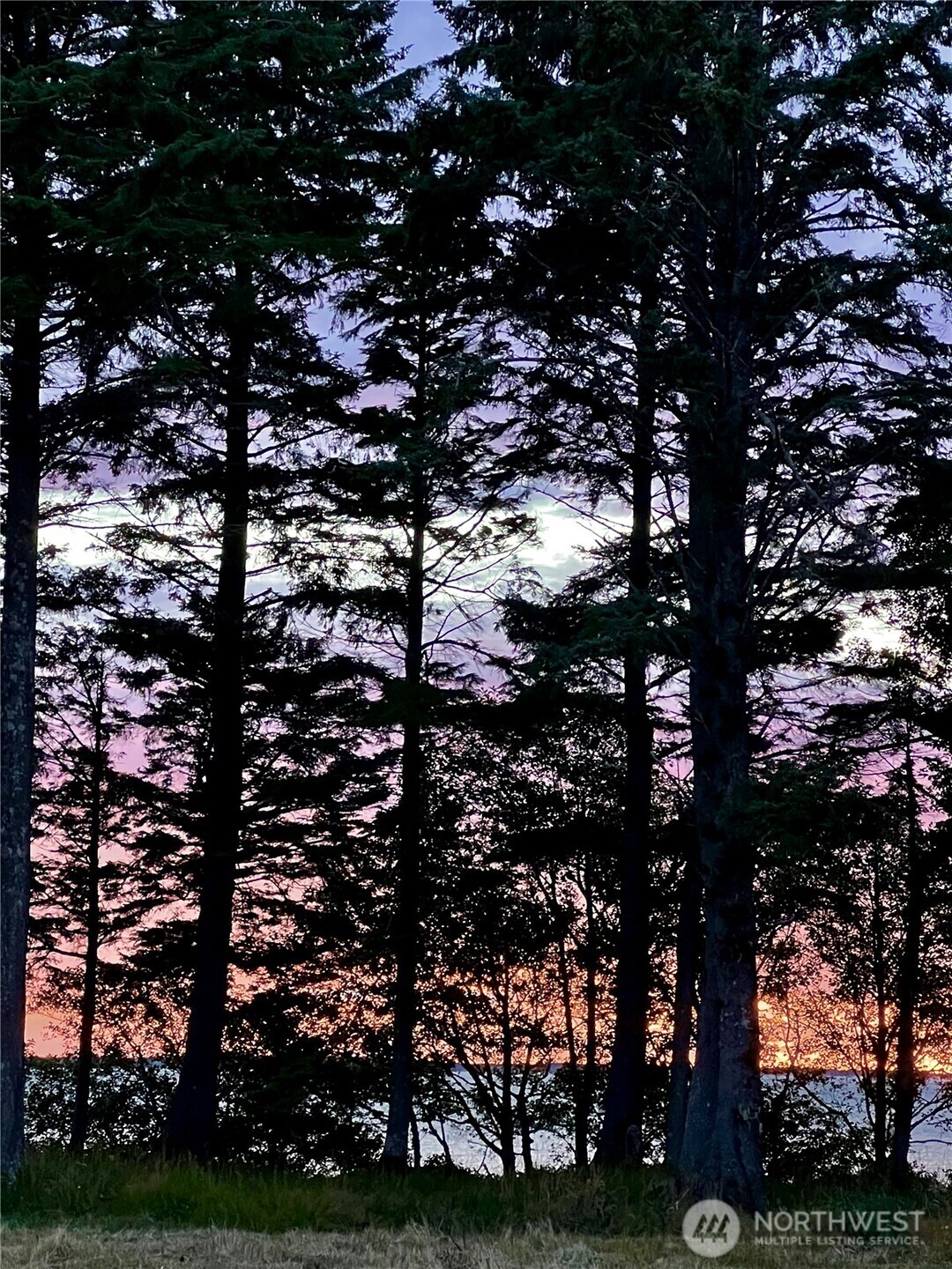 63 Ranta Road Bay Center, WA 98586 - Photo 2 of 26