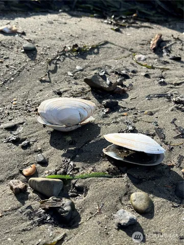 $219,000 | 63 Ranta Road, Bay Center, WA 98586