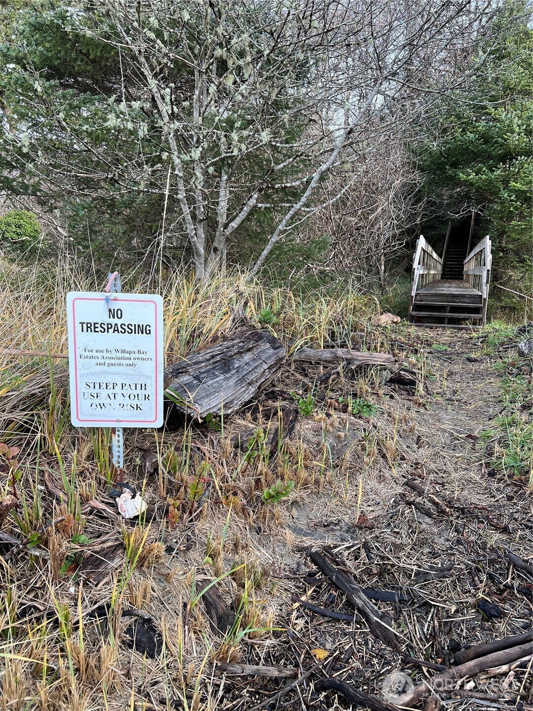 63 Ranta Road Bay Center, WA 98586 - Photo 26 of 26