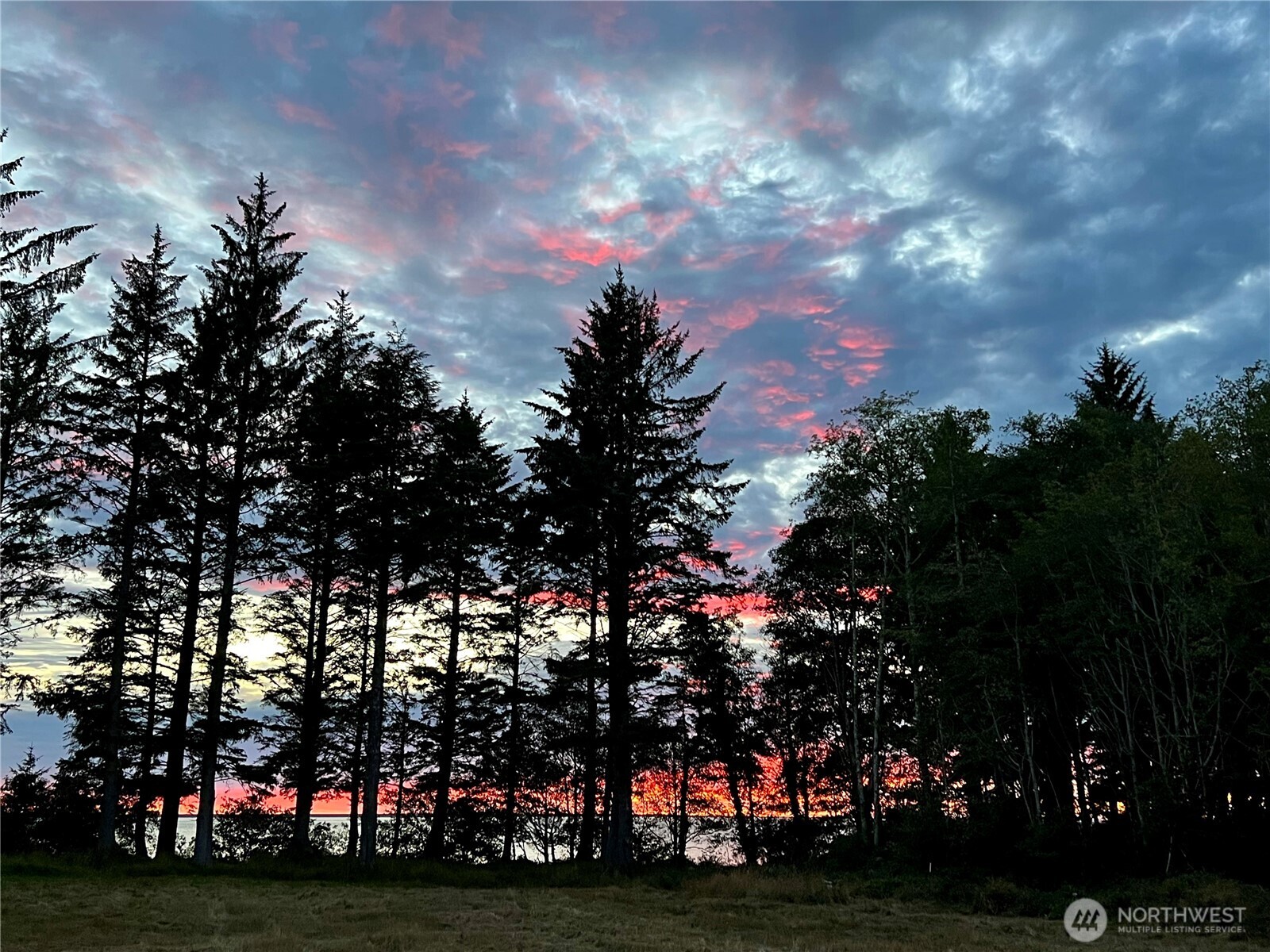 63 Ranta Road Bay Center, WA 98586 - Photo 4 of 26