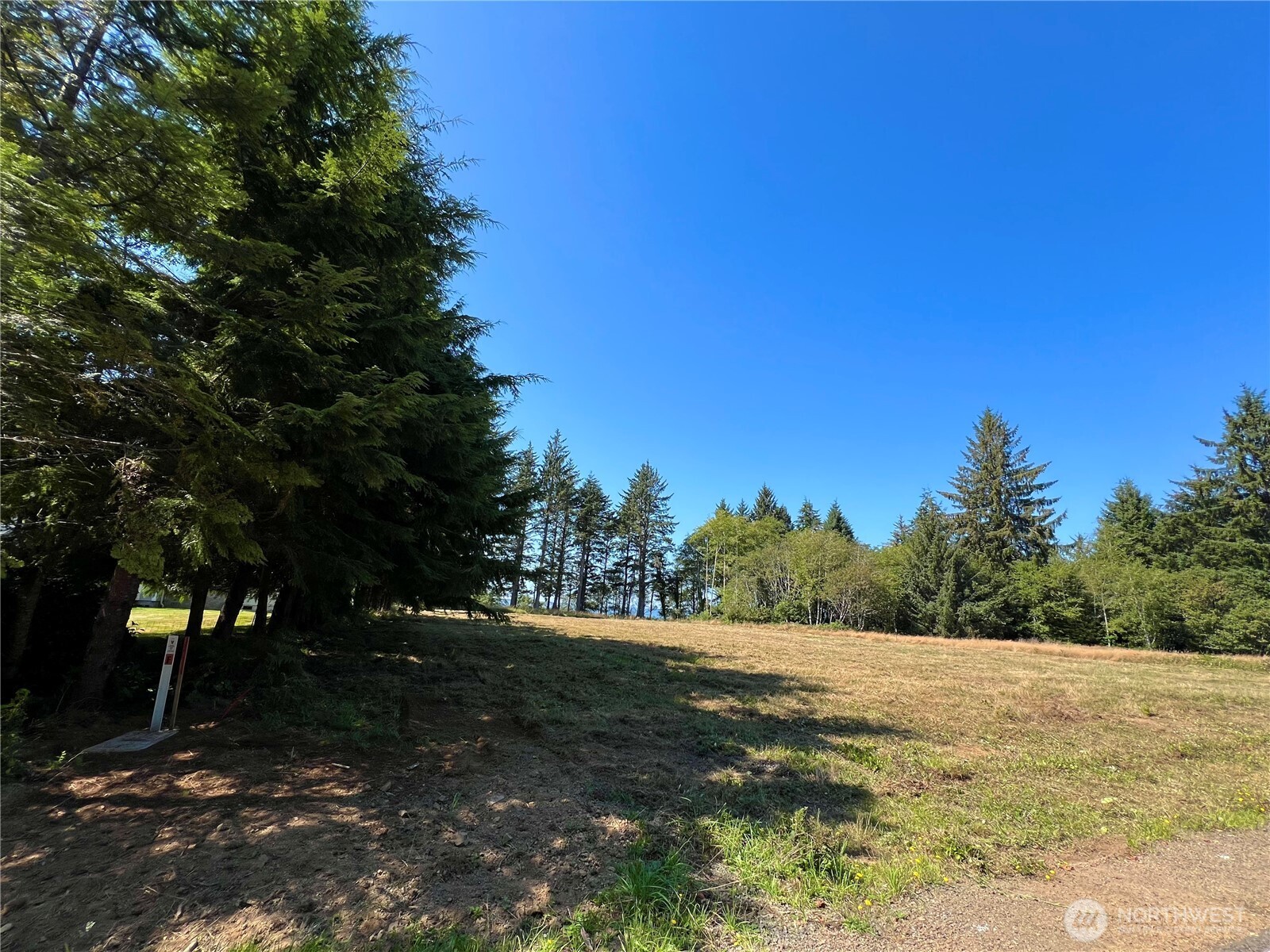 63 Ranta Road Bay Center, WA 98586 - Photo 9 of 26