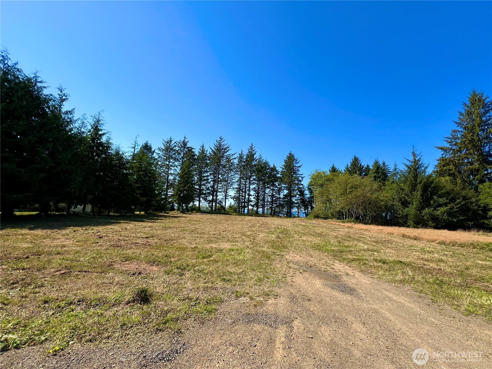 63 Ranta Road Bay Center, WA 98586 - Photo 10 of 26