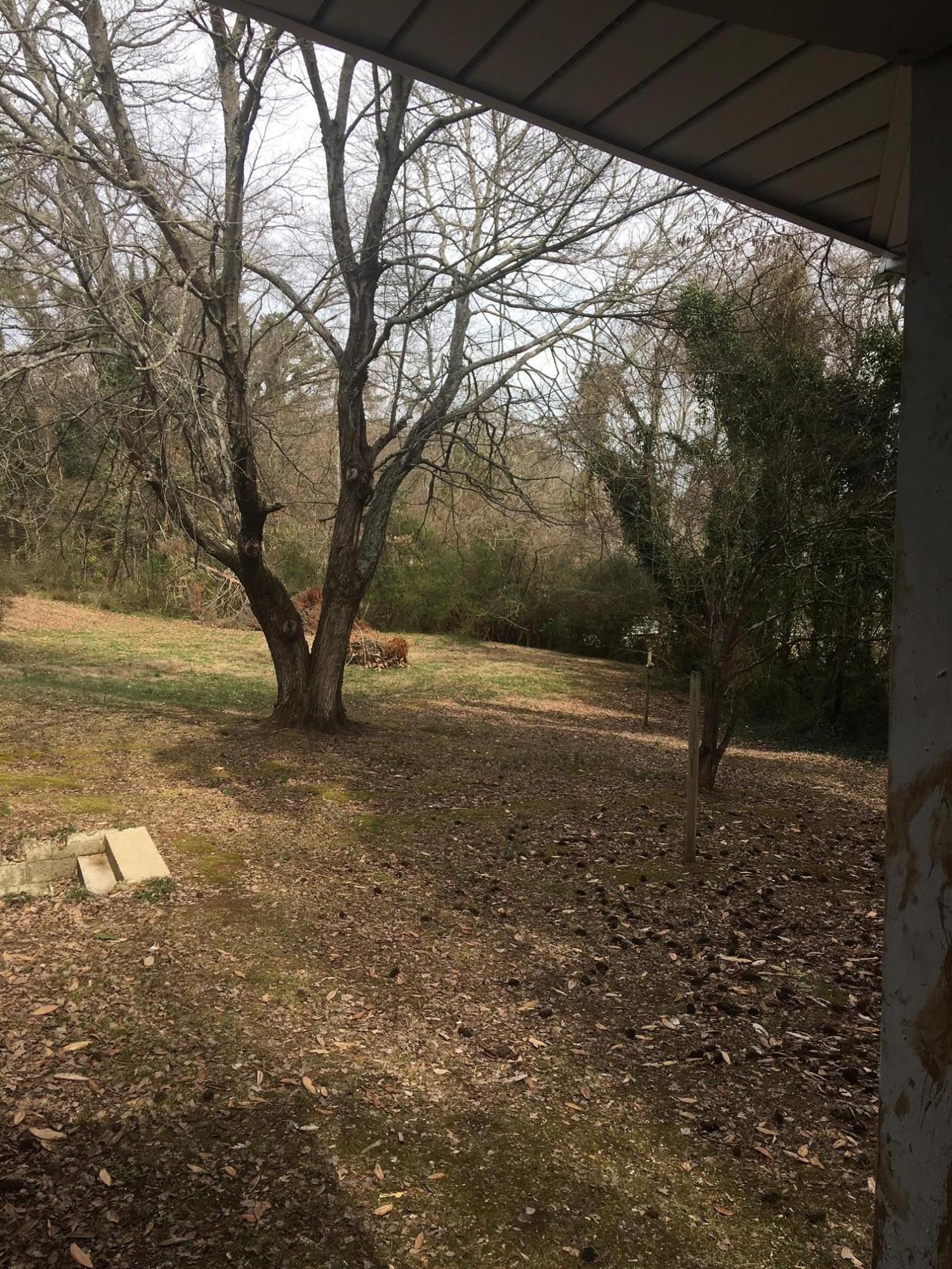 306 East Faunce Lane Oak Ridge, TN 37830 - Photo 15 of 15 306faunceyard
