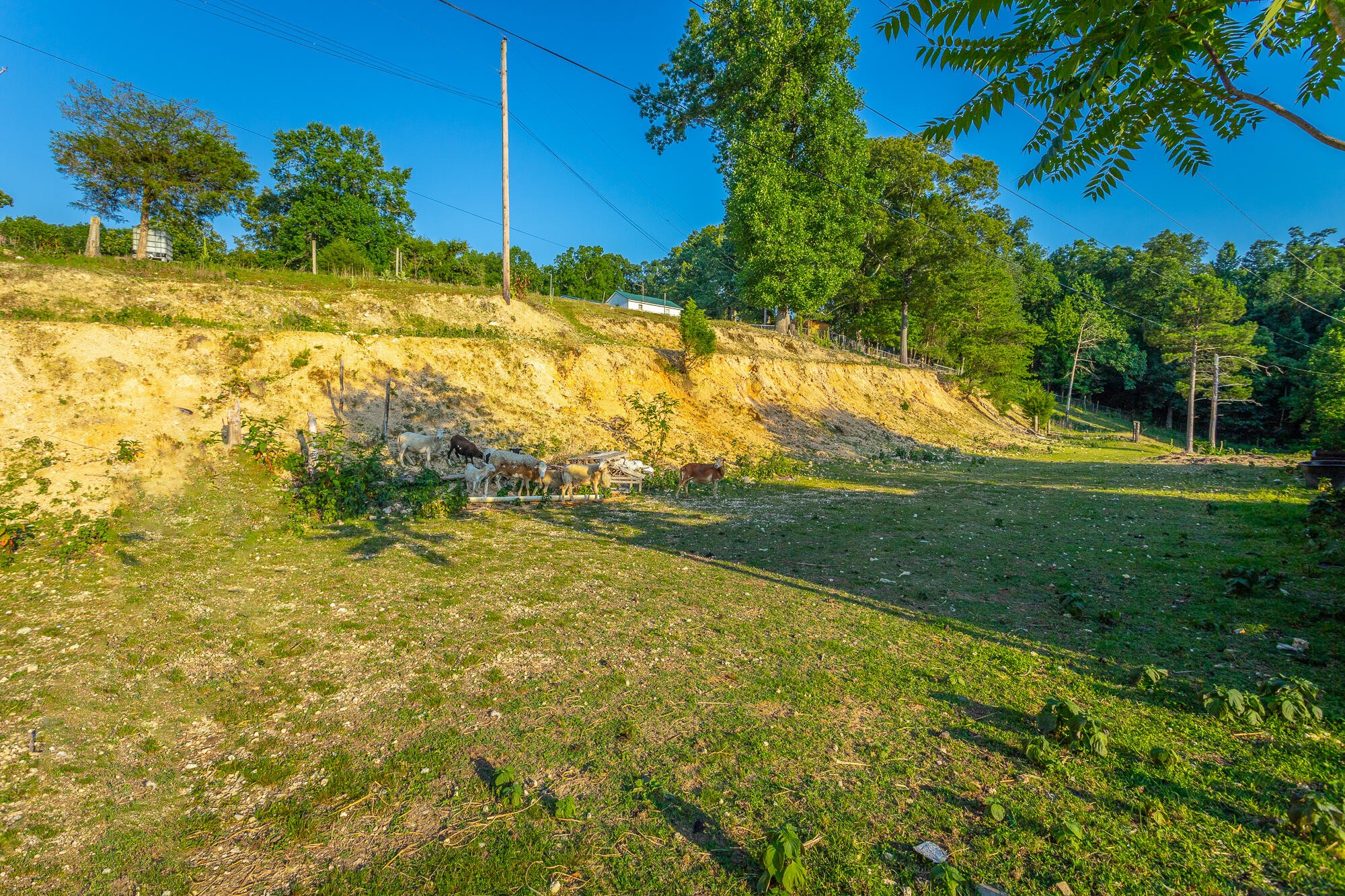 1240 Goose Pond Road Whitwell, TN 37397 - Photo 7 of 100 Gallery Image 7