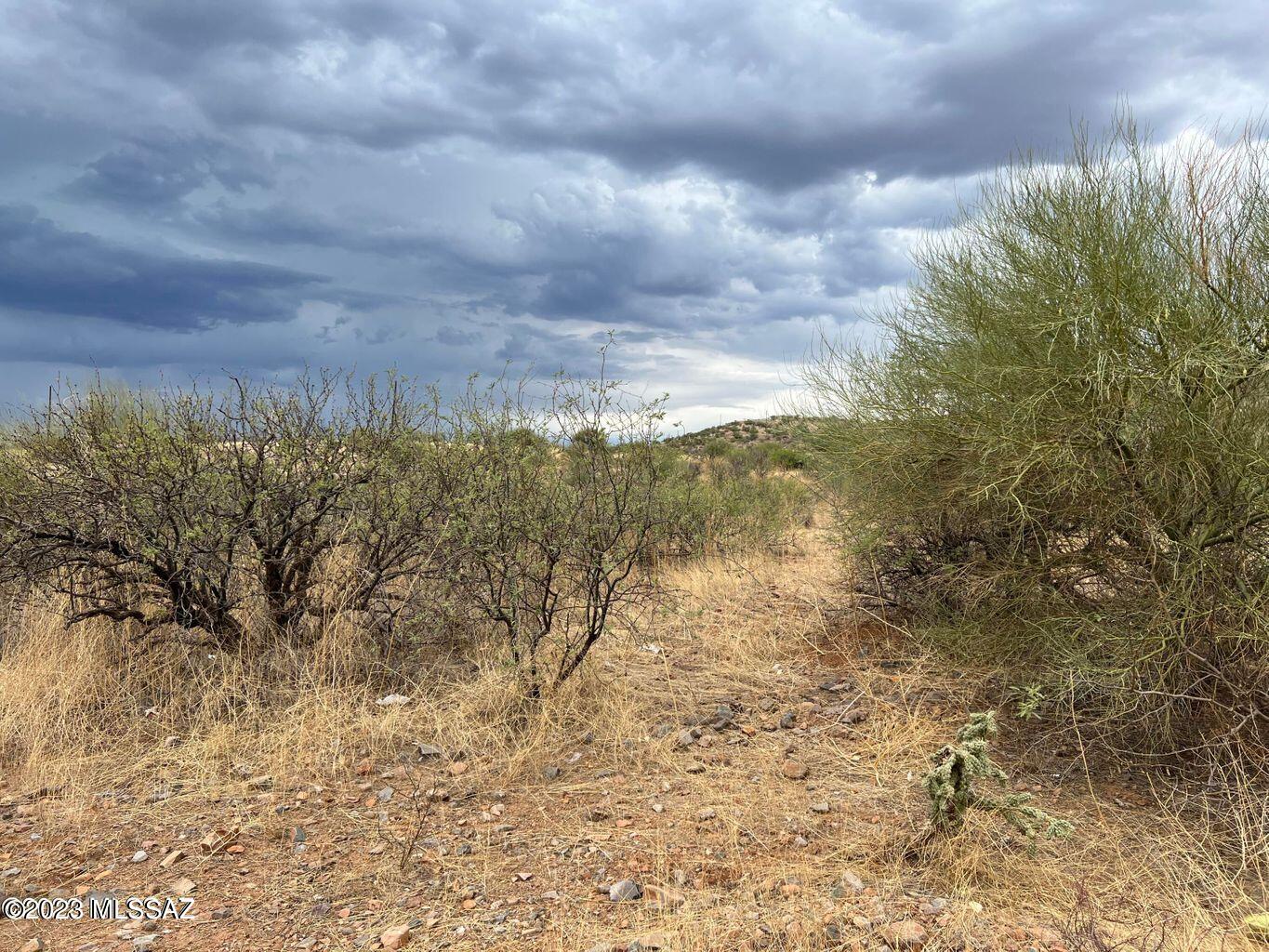 192 Calle Pulpo, Unit 22 Rio Rico, AZ 85648 - Photo 2 of 8