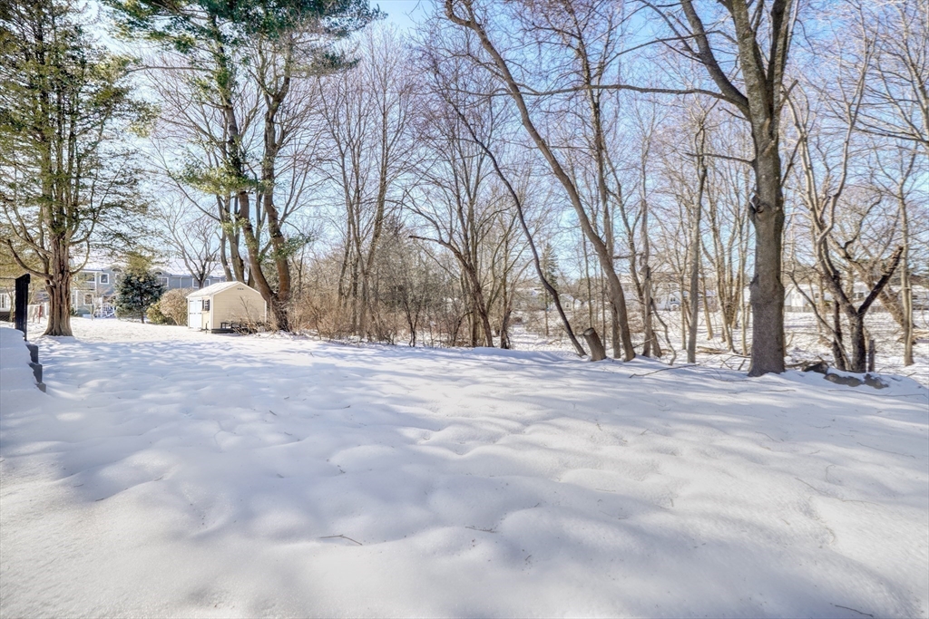 6 Spring Lane Saugus, MA 01906 - Photo 35 of 37 a house with trees in the background