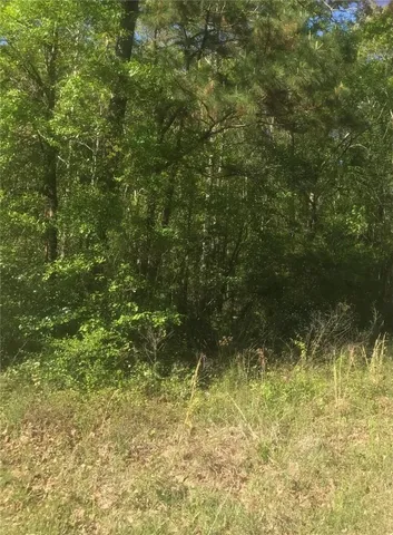 $25,000 | Tbd Clyde Parker Road, Ragley, LA 70657