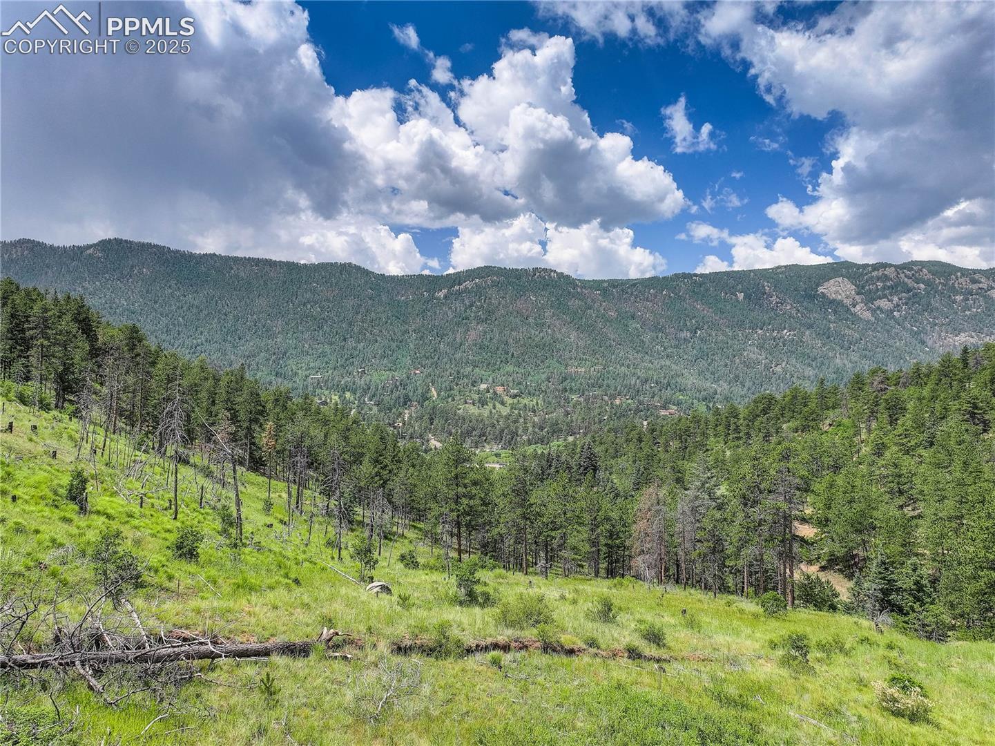 6085 Wellington Road Cascade, CO 80809 - Photo 9 of 13 Potential Homesite 1