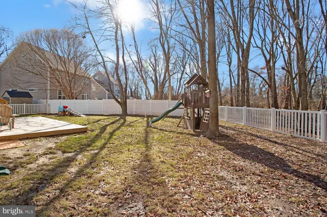 a view of a yard with plants and trees