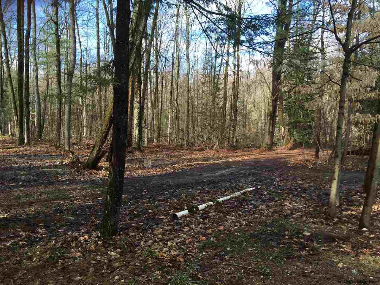 6116 Spring Road Galway, NY 12074 - Photo 4 of 29 Photo 4