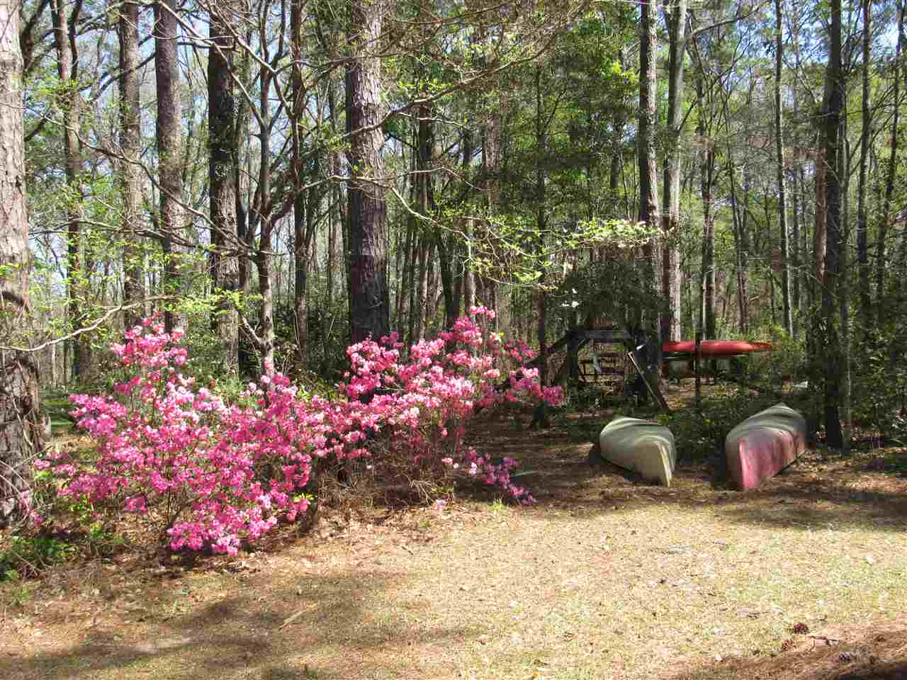9901 Gamble Road Monticello, FL 32344 - Photo 31 of 31 Gallery Image 31