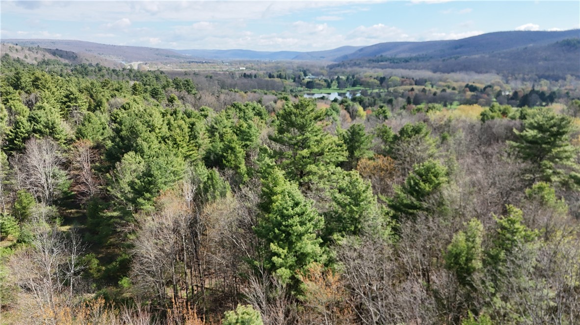9155 Smith Road Lindley, NY 14870 - Photo 23 of 33