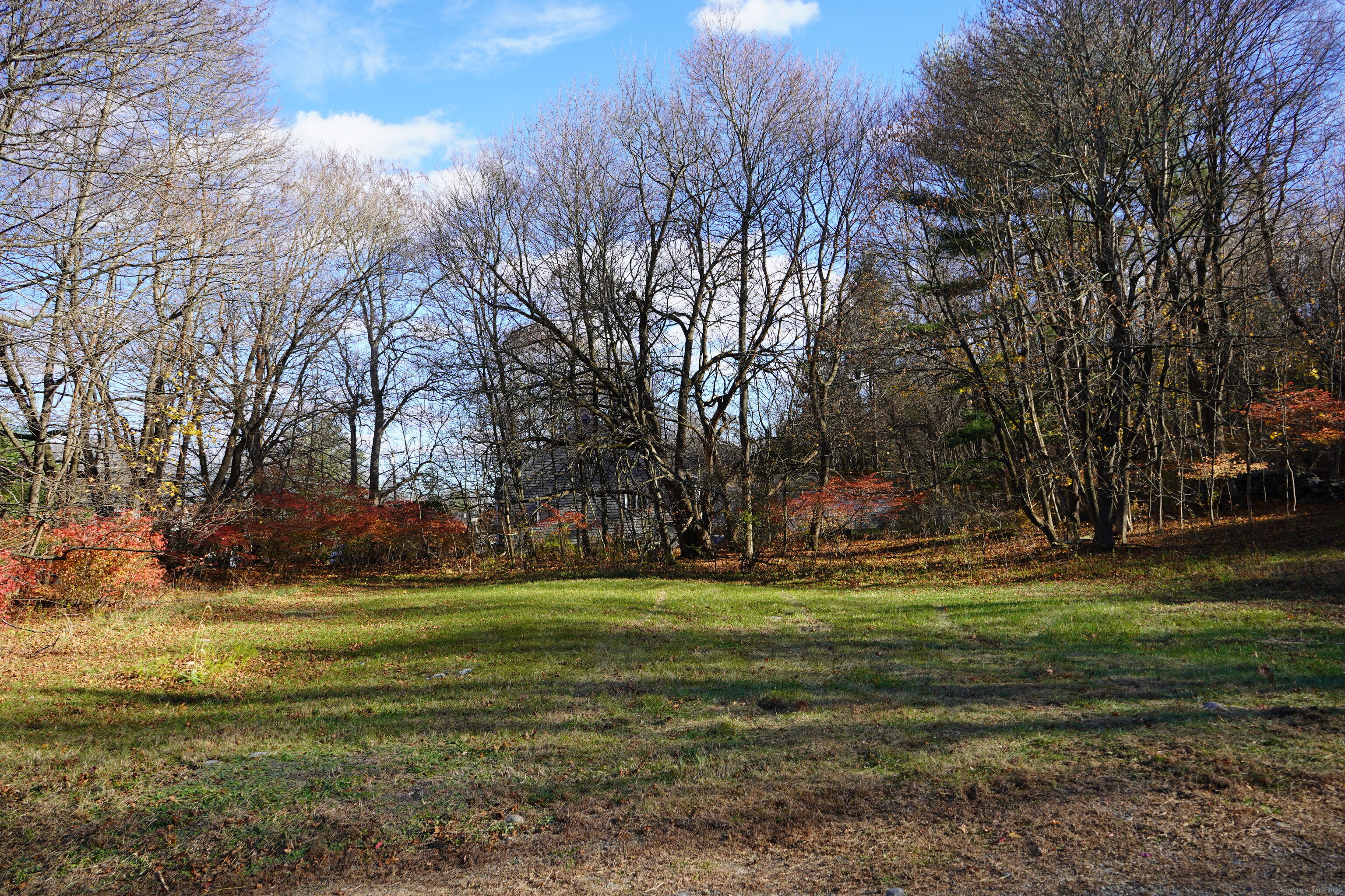 363 Windham Road Windham, CT 06226 - Photo 4 of 28 a view of a grassy field with trees
