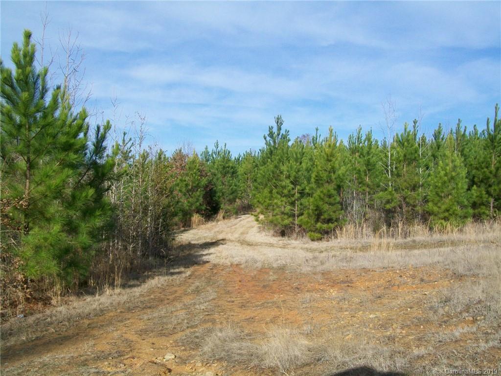 4700 Hoodtown Road Sharon, SC 29742 - Photo 2 of 24 Gallery Image 2