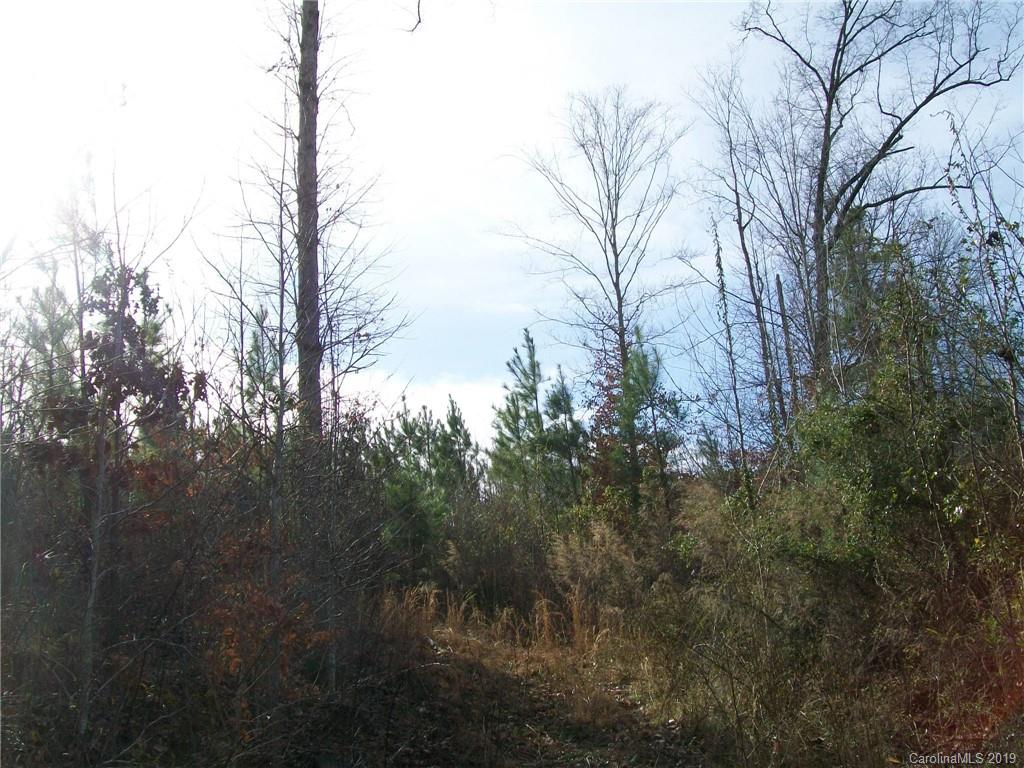 4700 Hoodtown Road Sharon, SC 29742 - Photo 16 of 24 Gallery Image 16