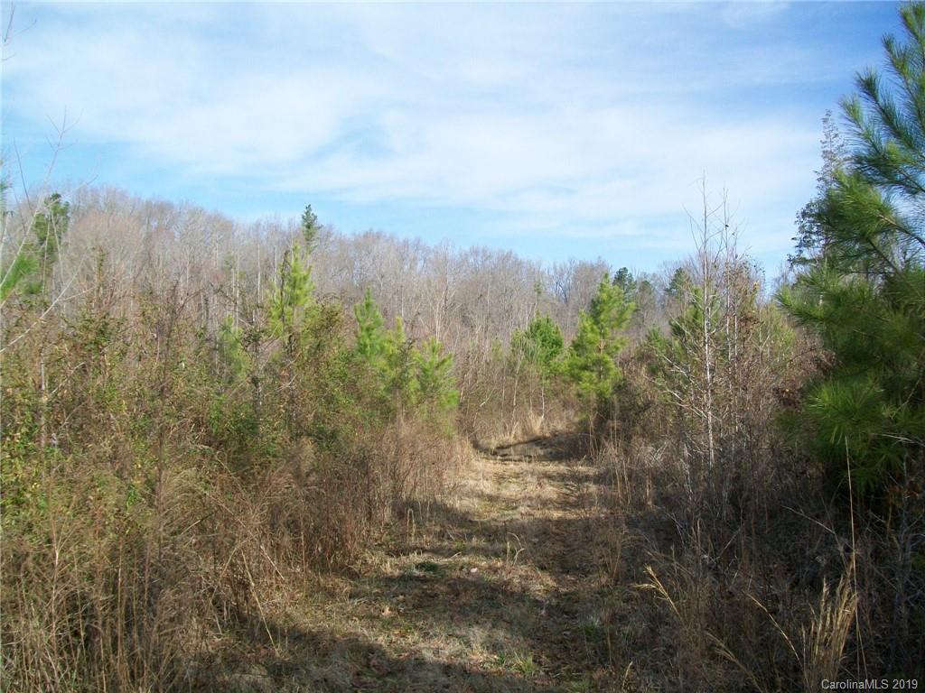 4700 Hoodtown Road Sharon, SC 29742 - Photo 19 of 24 Gallery Image 19