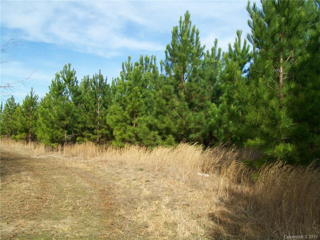 4700 Hoodtown Road Sharon, SC 29742 - Photo 20 of 24 Gallery Image 20