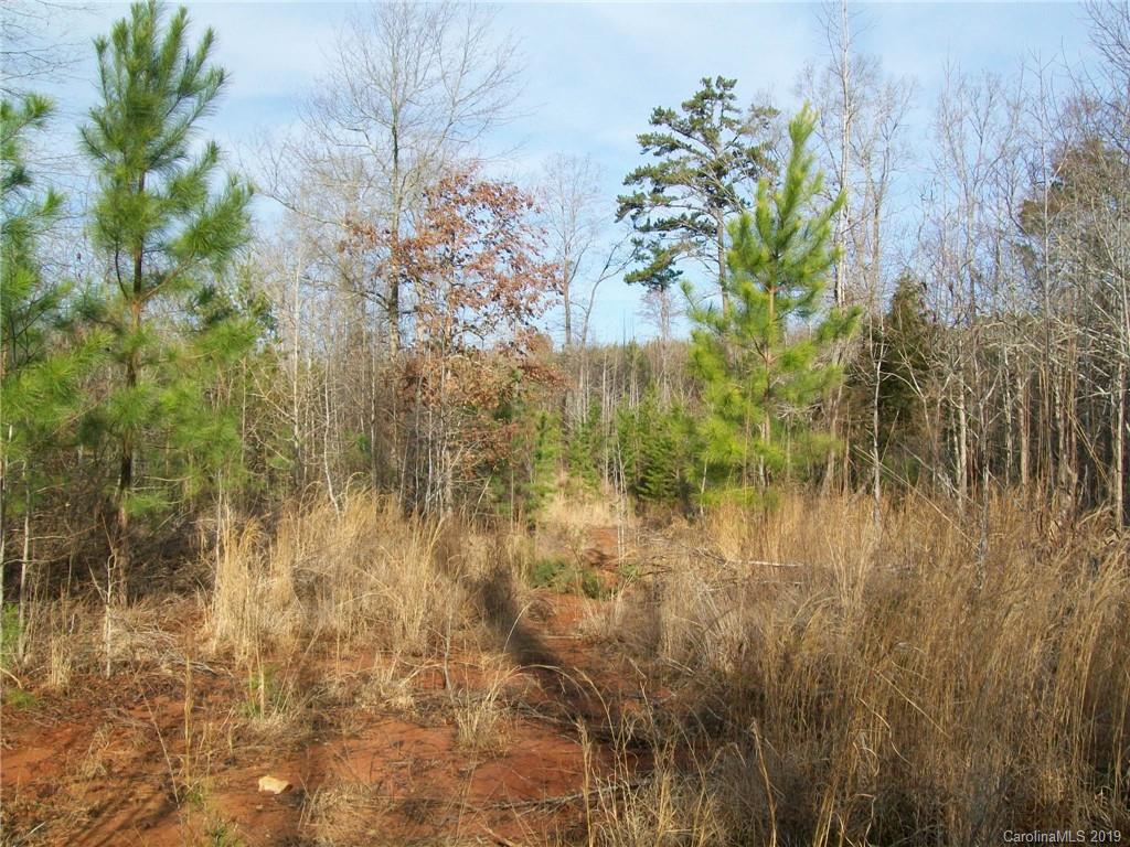 4700 Hoodtown Road Sharon, SC 29742 - Photo 8 of 24 Gallery Image 8