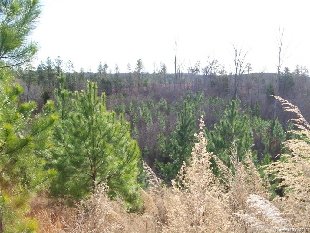 4700 Hoodtown Road Sharon, SC 29742 - Photo 9 of 24 Gallery Image 9